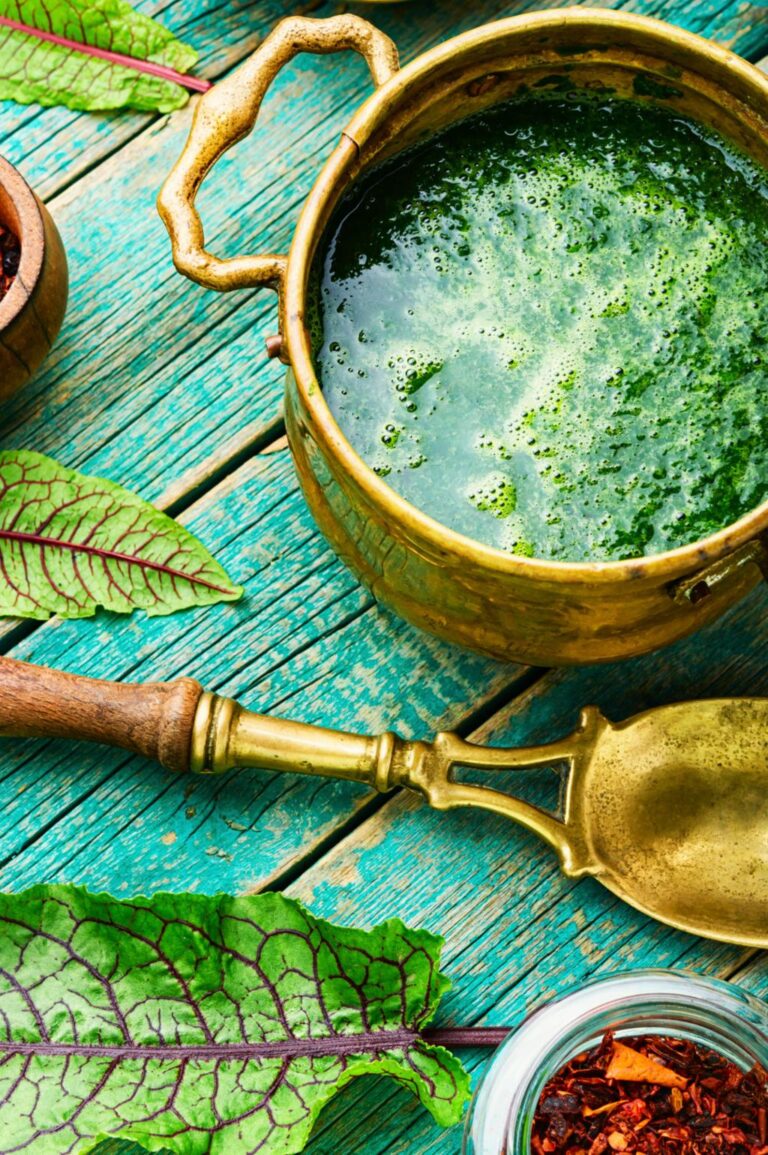 Sauerampfer Suppe – einfach & gesund